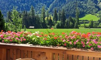 A beautiful balcony with a flower bed and two chairs. In the background, green meadows and majestic mountains can be seen.