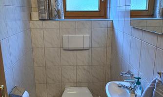 A toilet and a small sink.