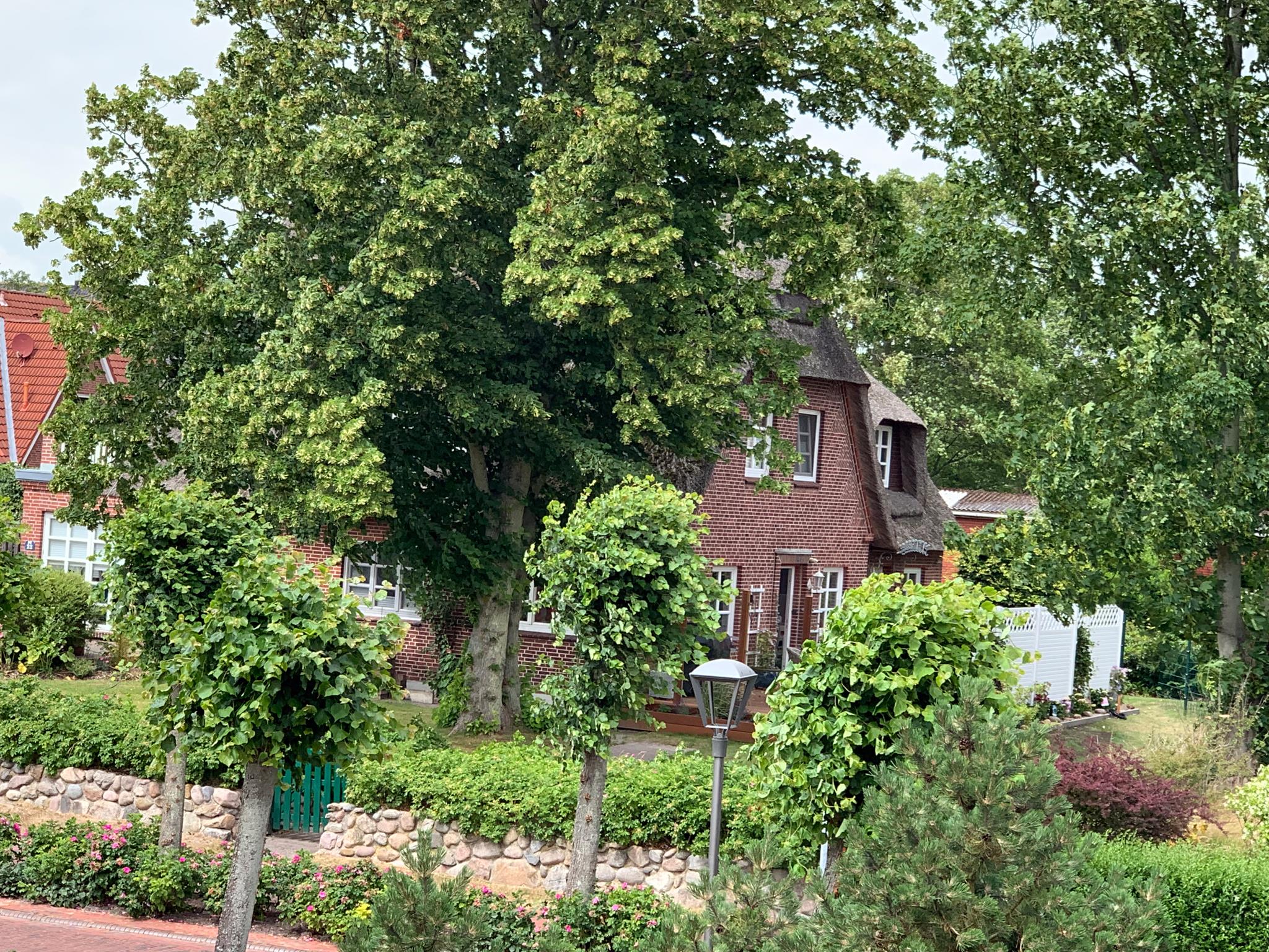 Haus Halli Een Haus Elli Een, Wohnung 07 Ferienwohnung in Schleswig Holstein
