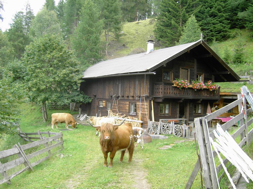 Gullenhütte Ferienhaus, Bad, WC Ferienwohnung  Tirol