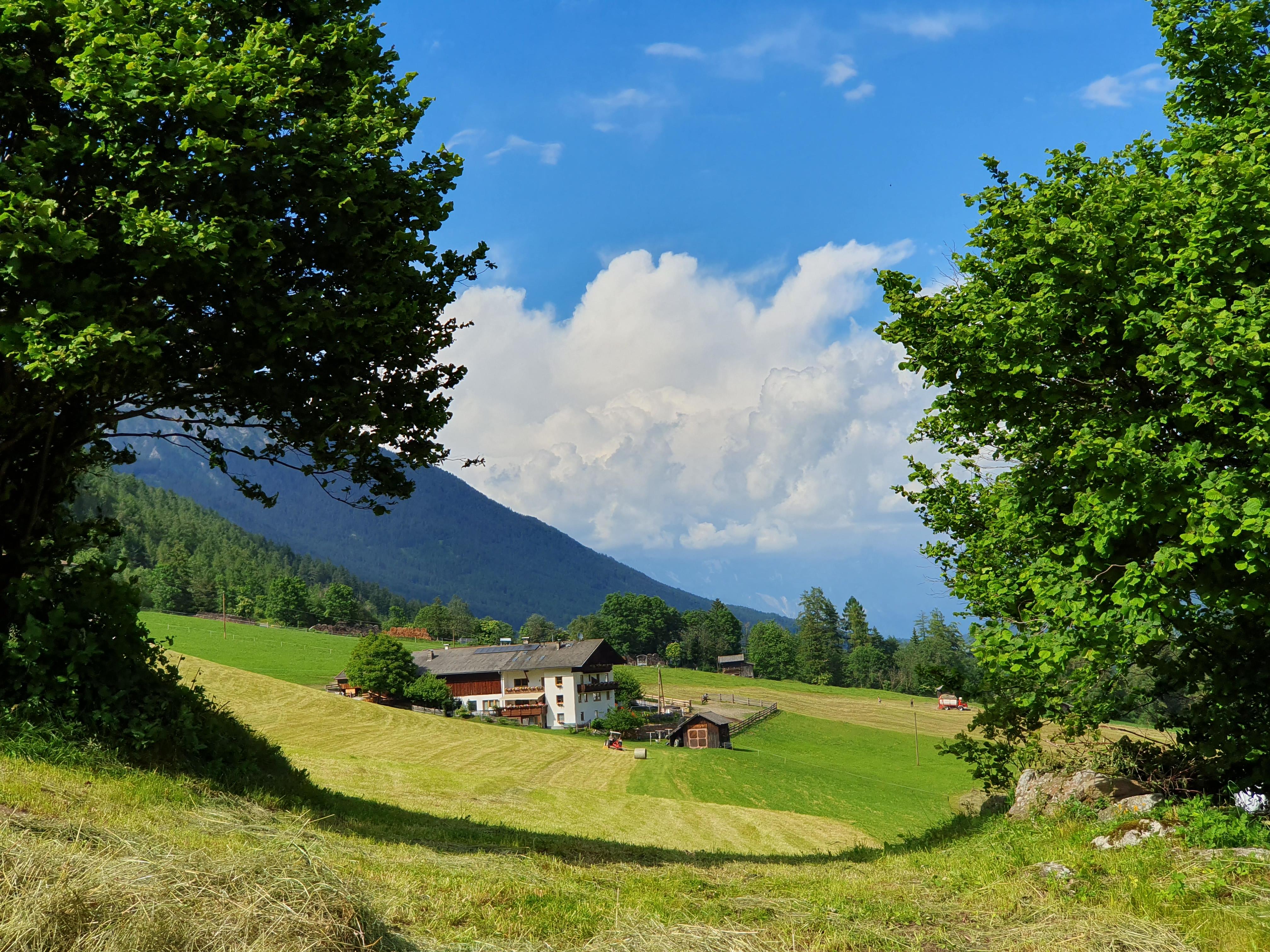 Omesbergerhof Ferienwohnung Habicht Ferienwohnung  Tirol