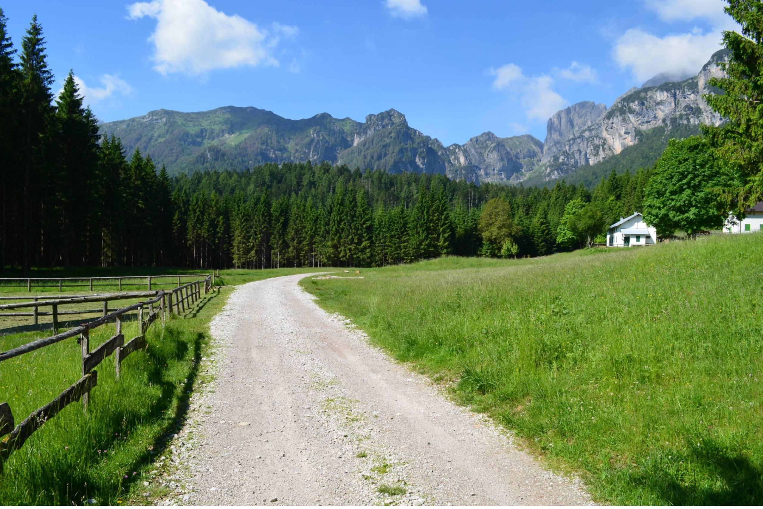 La foresta di Cajada