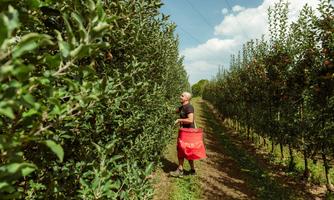 Azienda agricola Massimo Venturin