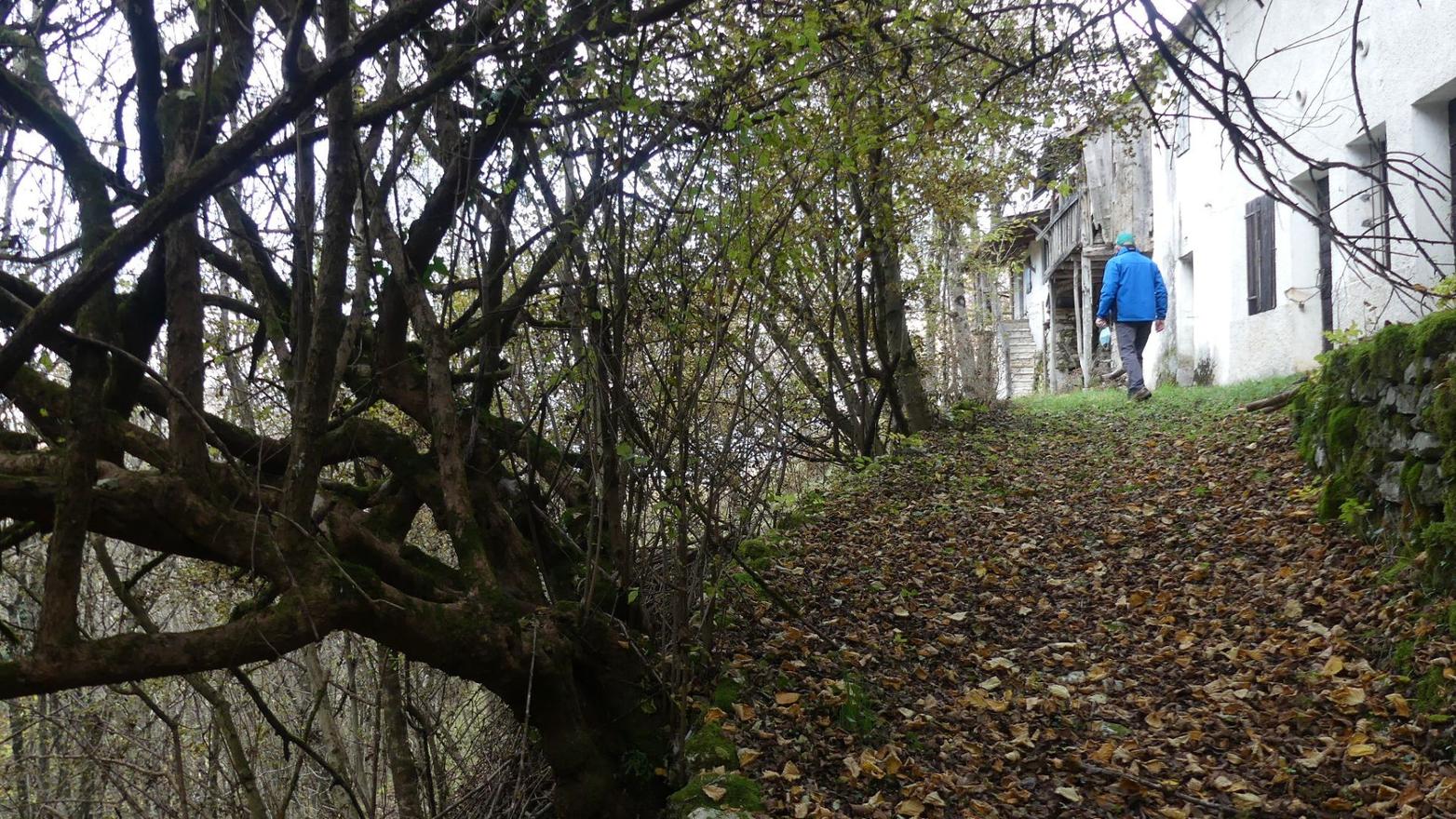 A Medil c'è una casa nel bosco