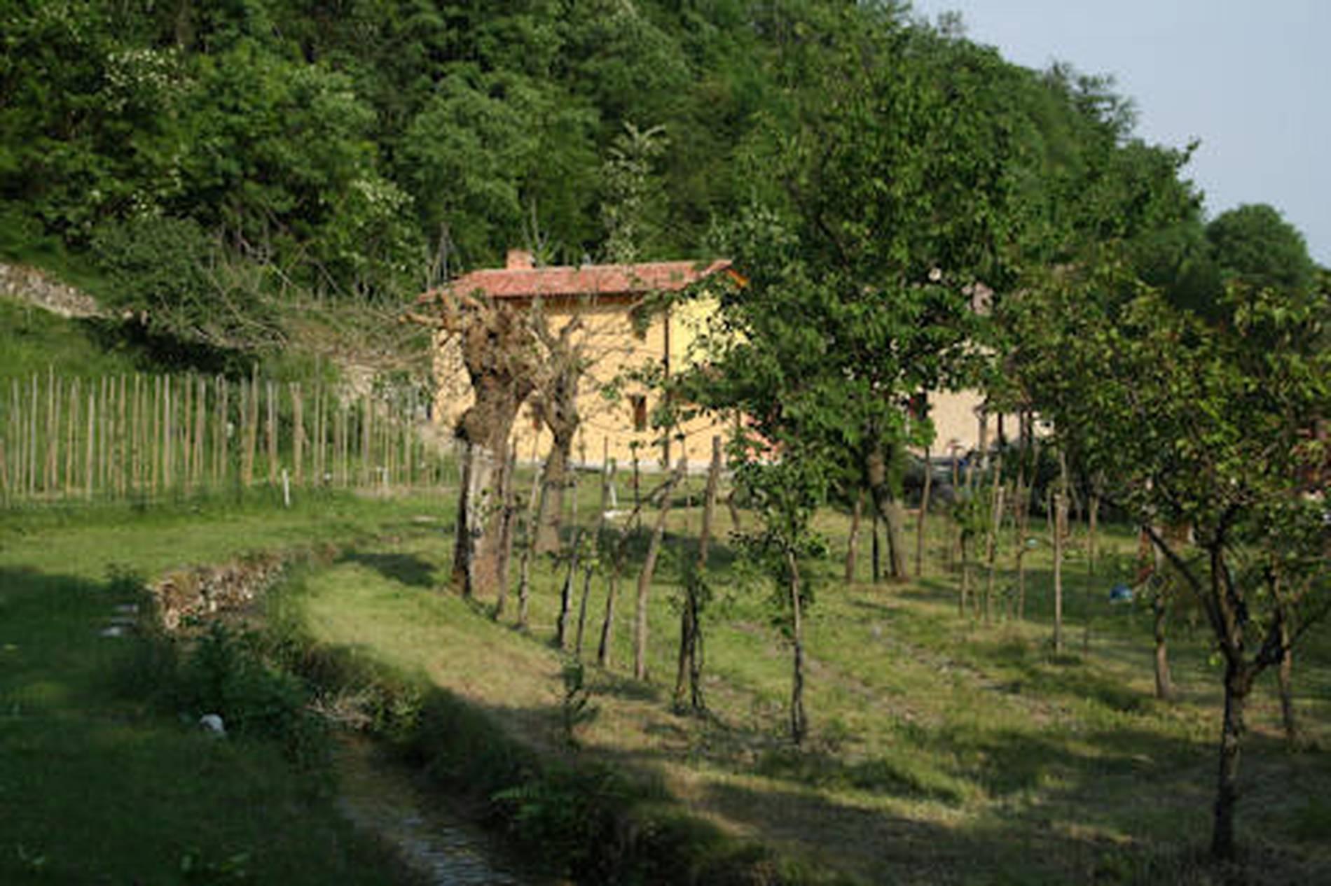 MULINO LA VALLINA DI FURLAN LUCIA - 3