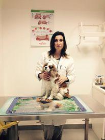 Ambulatorio Veterinario Rampazzo