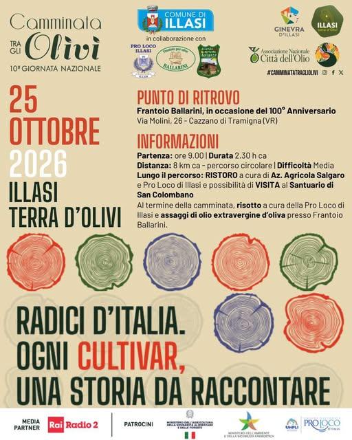 Camminata tra gli olivi