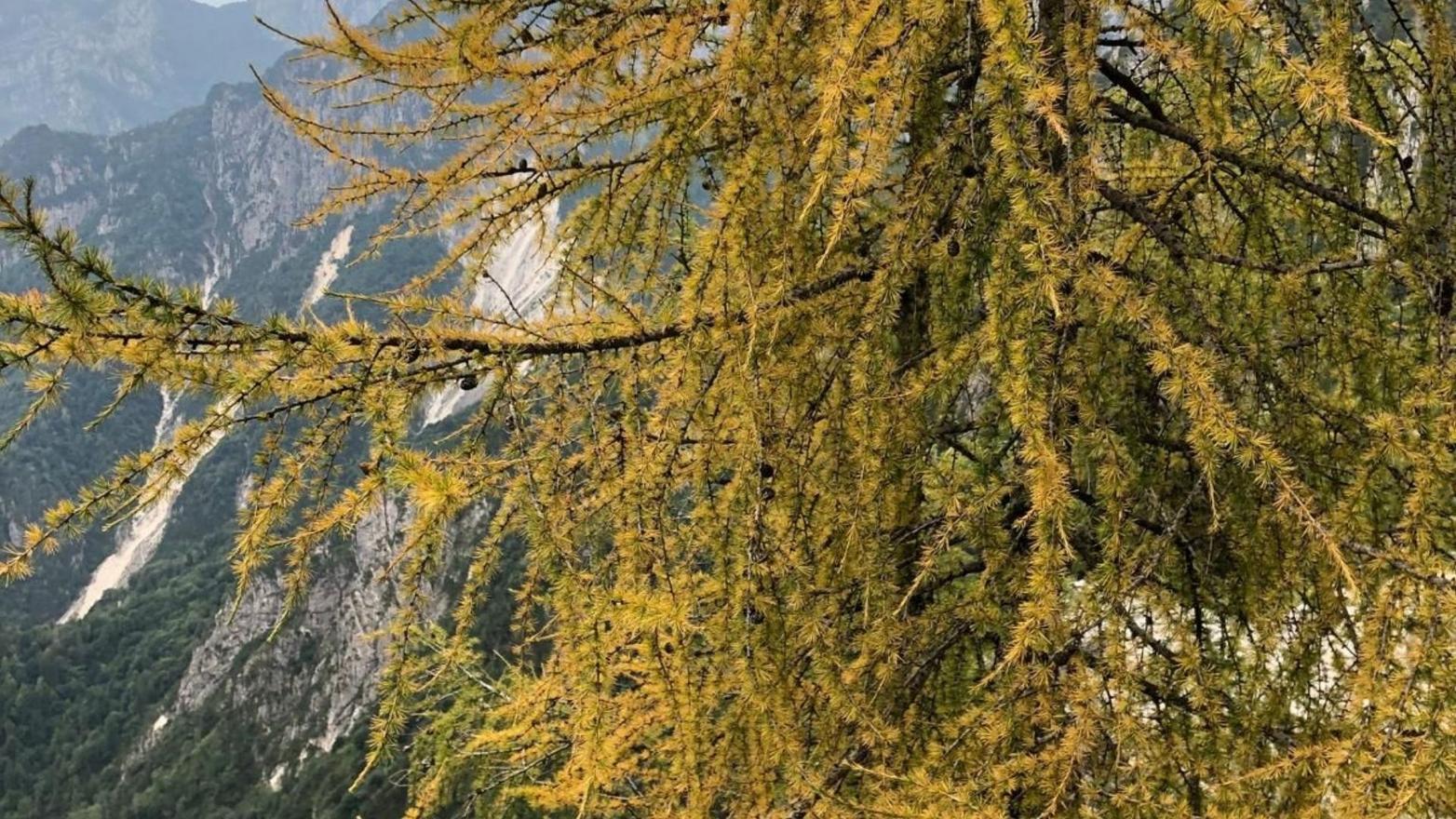 Passo Finestra- Storie di sentieri