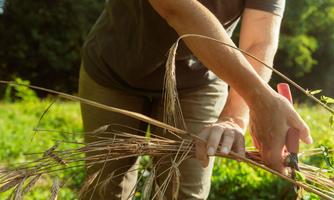 Solum azienda agricola