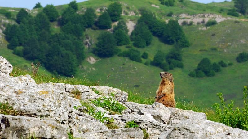 I colori della memoria sul Monte Novegno