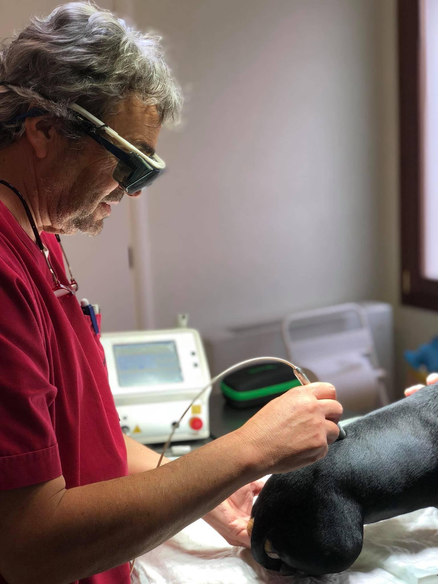 Ambulatorio Veterinario Dott. Daniele Lazzari