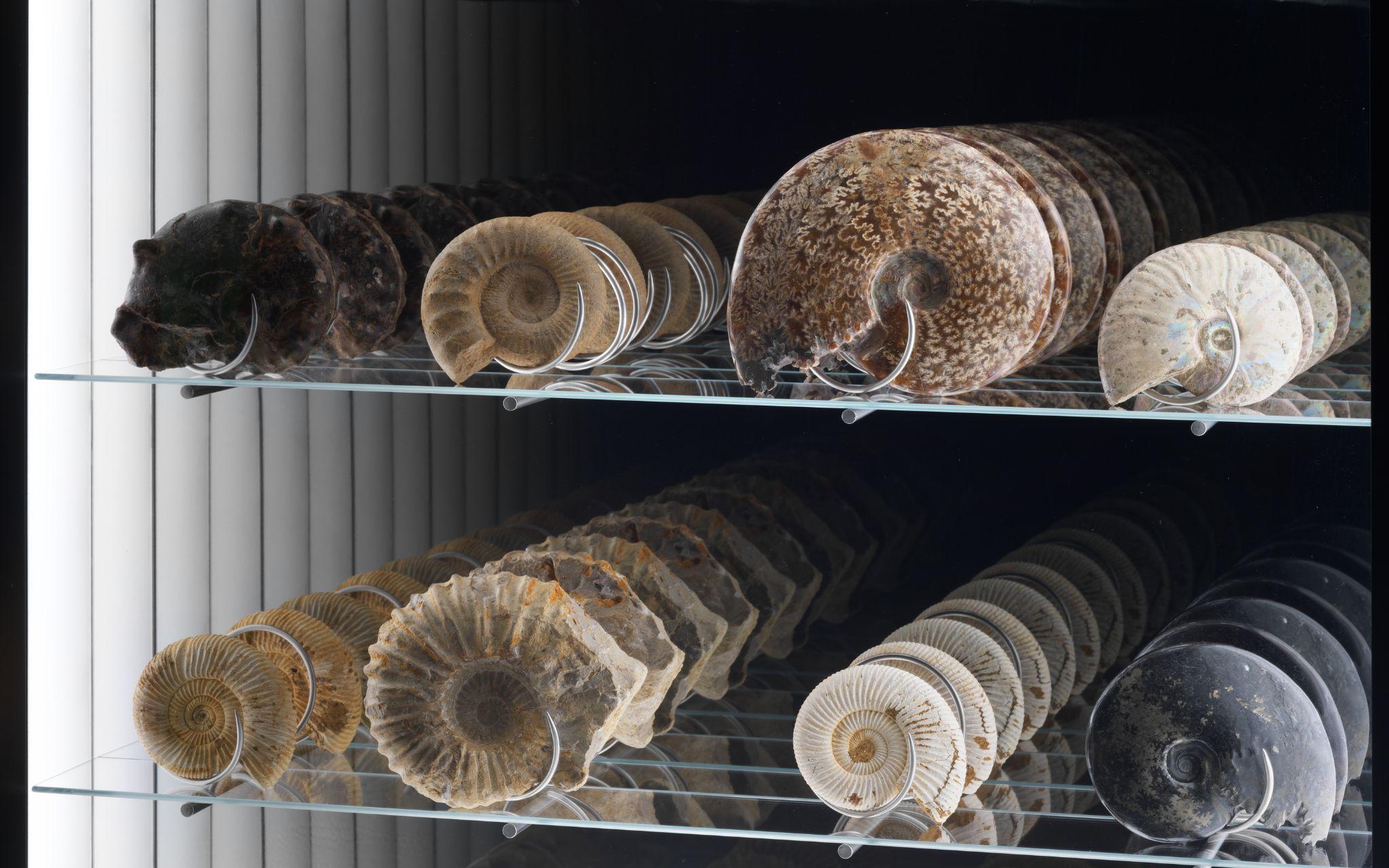 SPIRAL ECONOMY