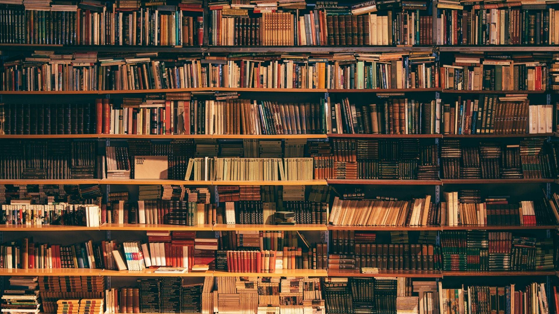 Faville – Libri che si accendono