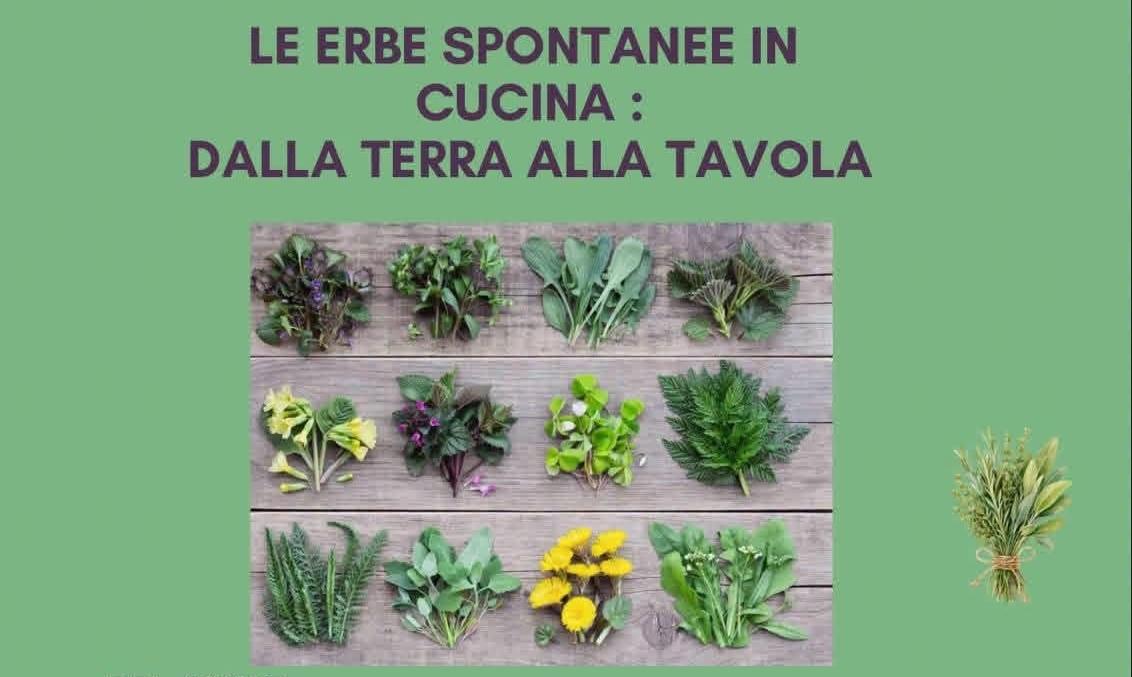 Le erbe spontanee in cucina: dalla terra alla tavola