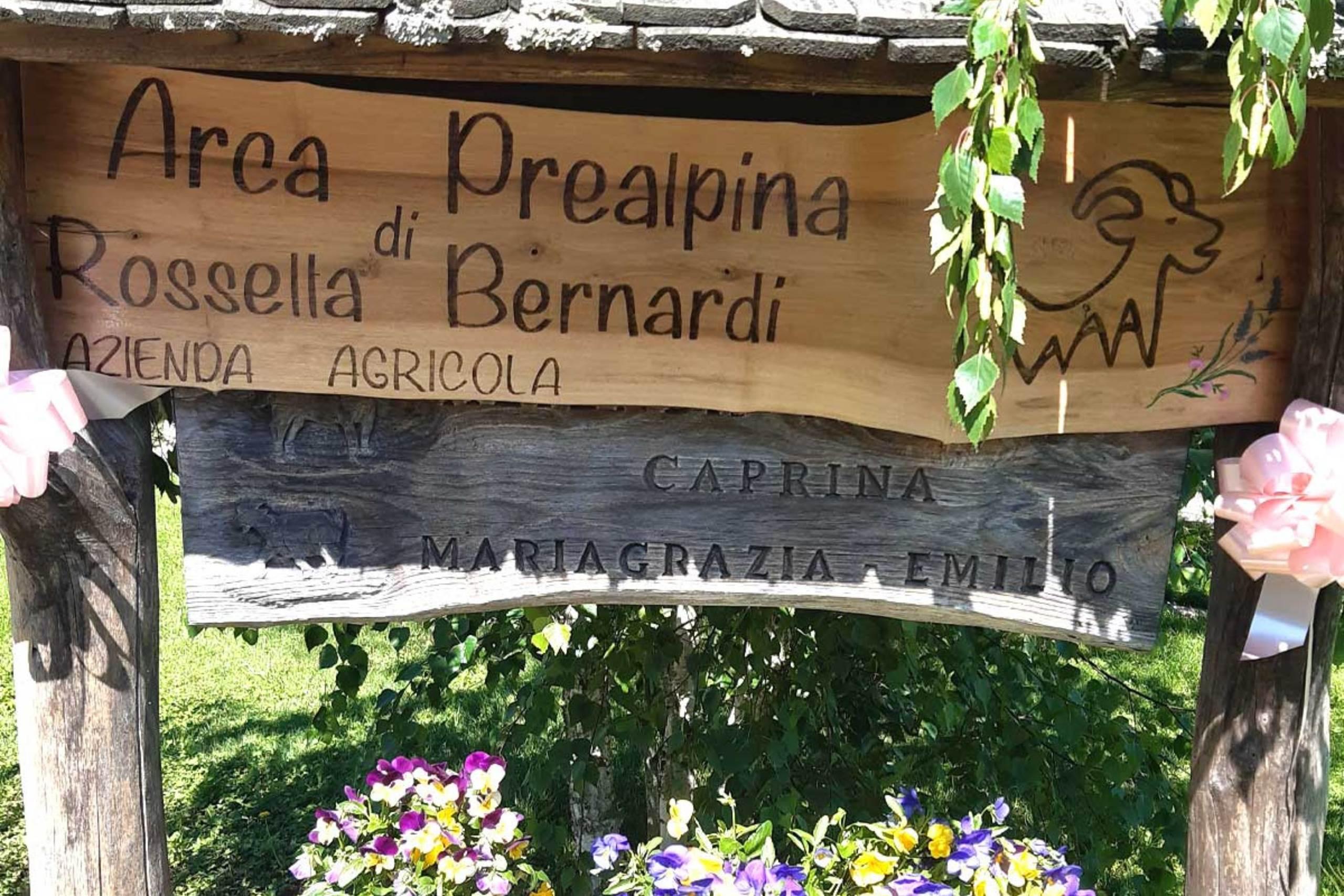Arca Prealpina - 2