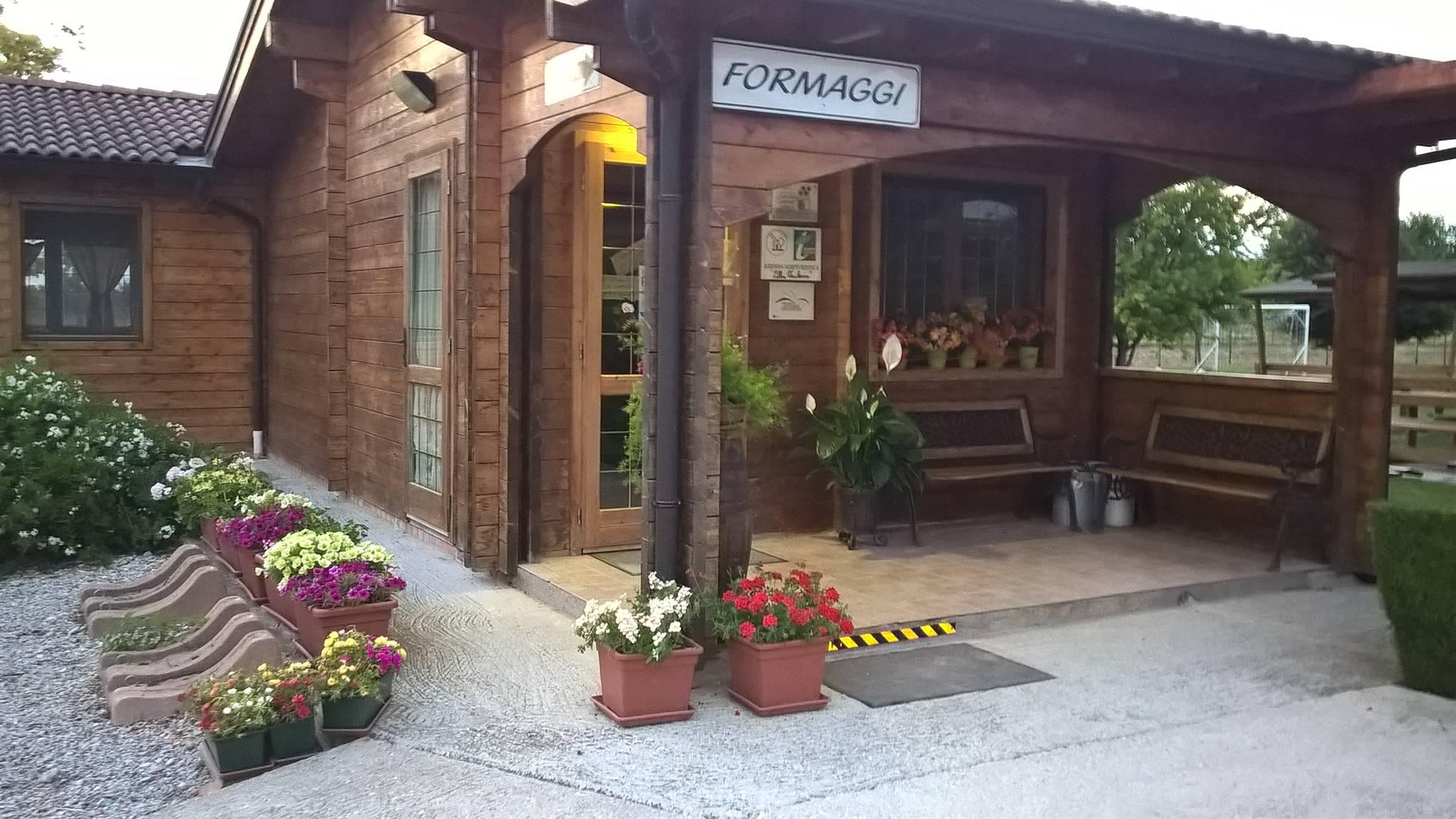 Alla Vaccheria