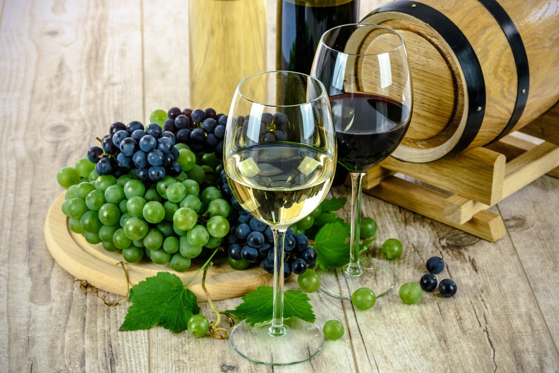 The Great Wine Festival