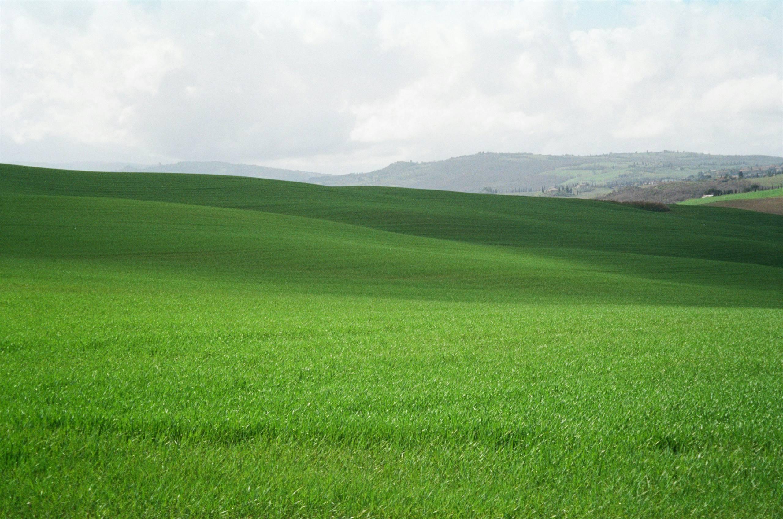 Cerimonia Ripristino parchetto di via Battistel