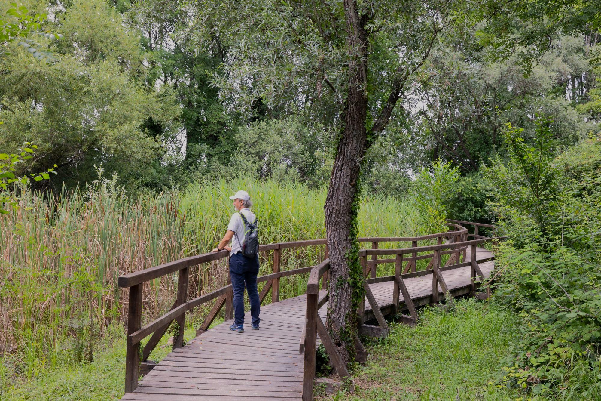 Parco Nuove Gemme