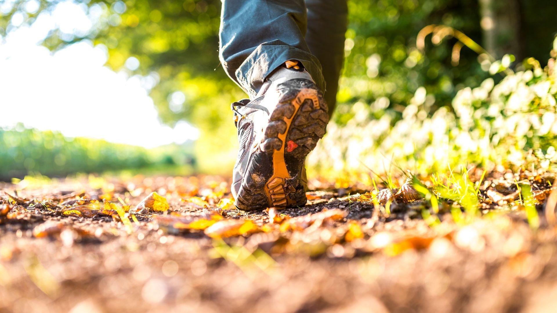 Passeggiata con l’associazione “I Walk”