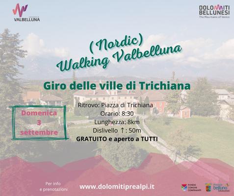 Immagine2