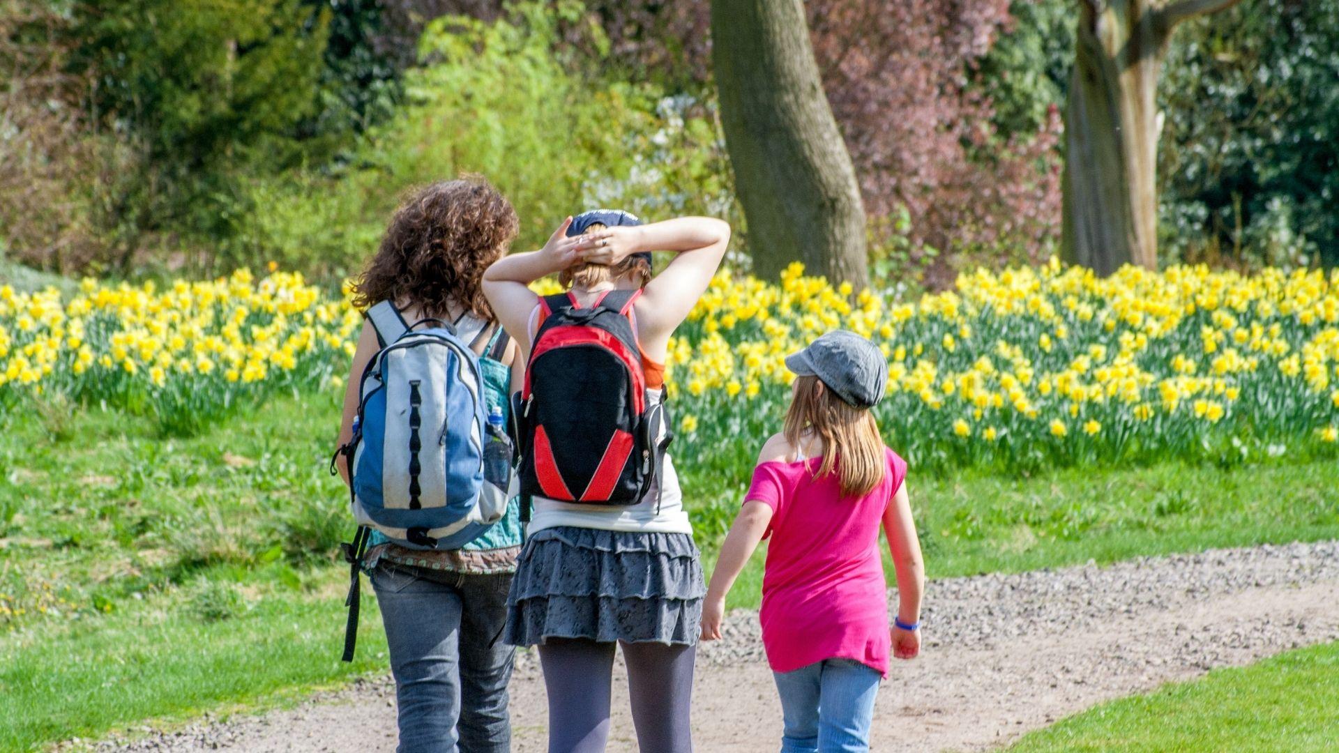 Estate 2025 nella R.N. Vincheto di Celarda