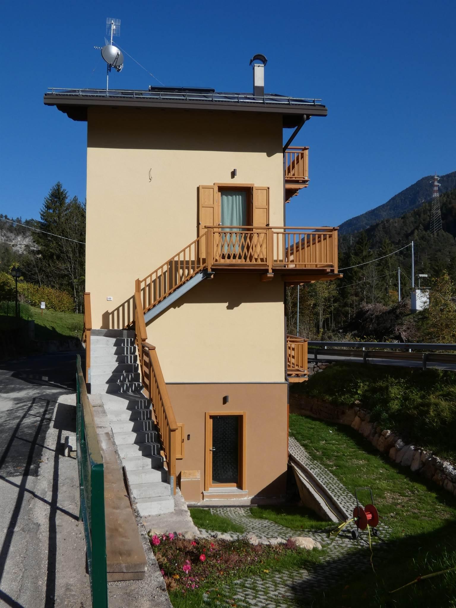 AI LARICI - 2