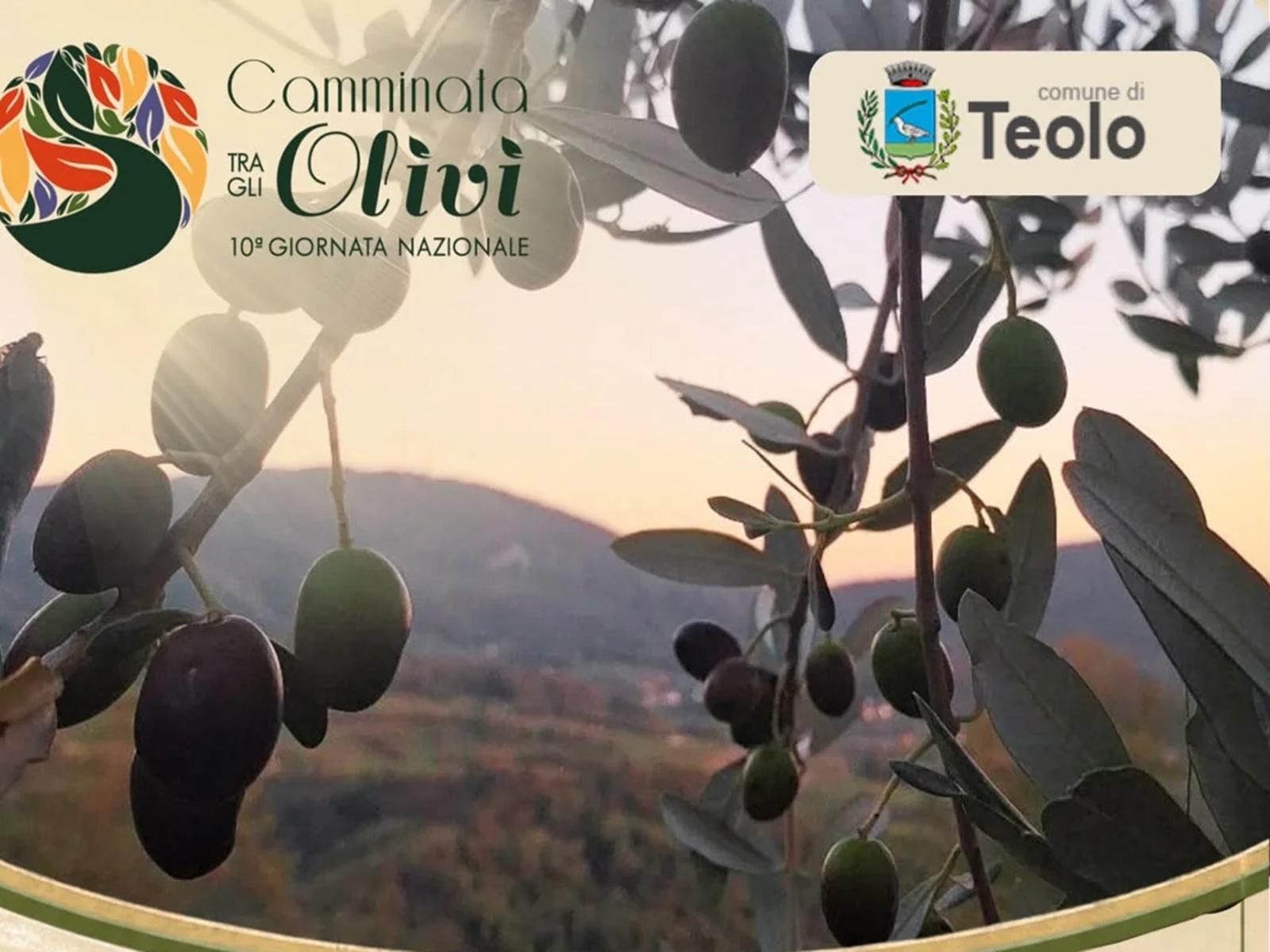 Passi e frutti d'autunno