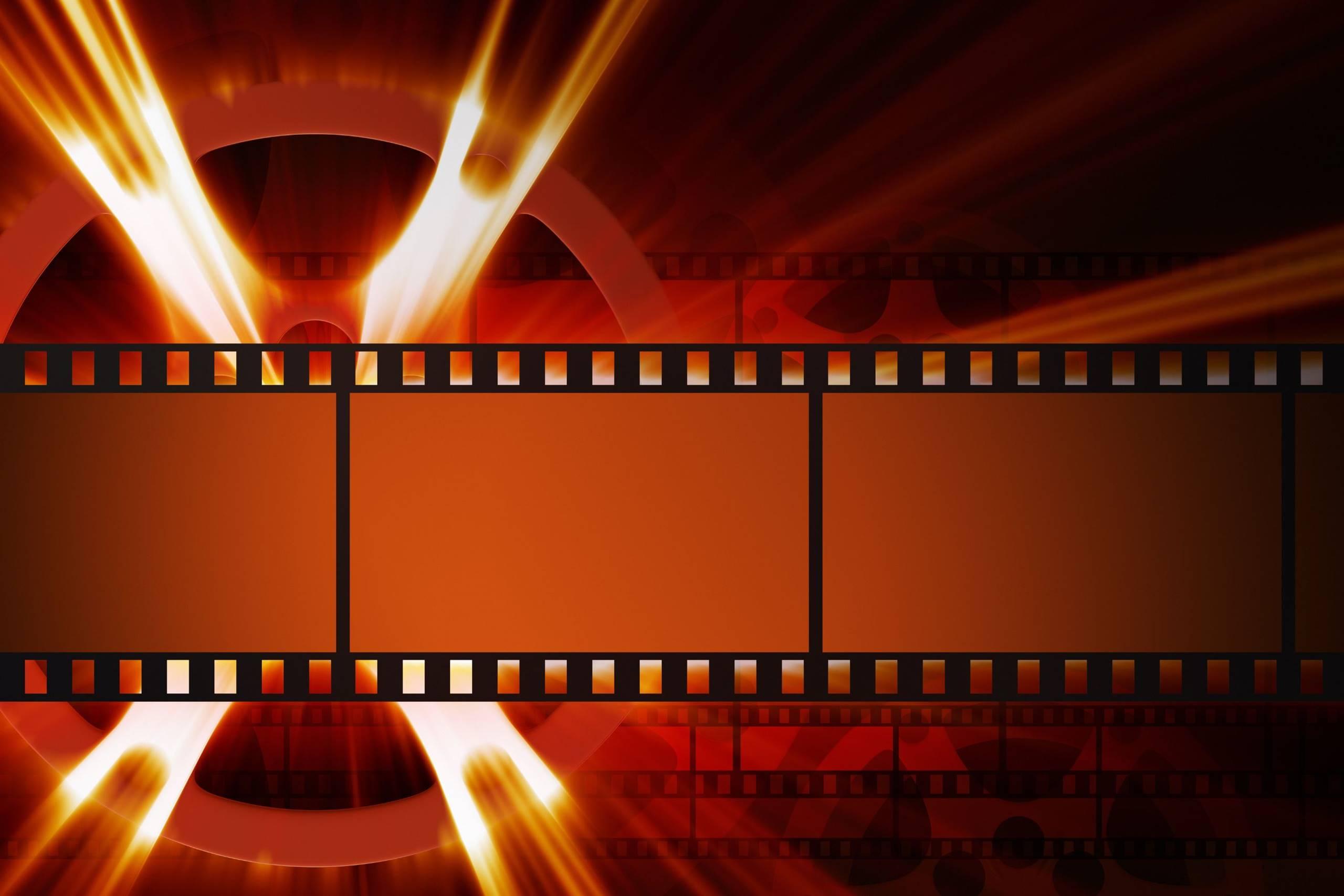 Die Weisse Rose – La rosa bianca