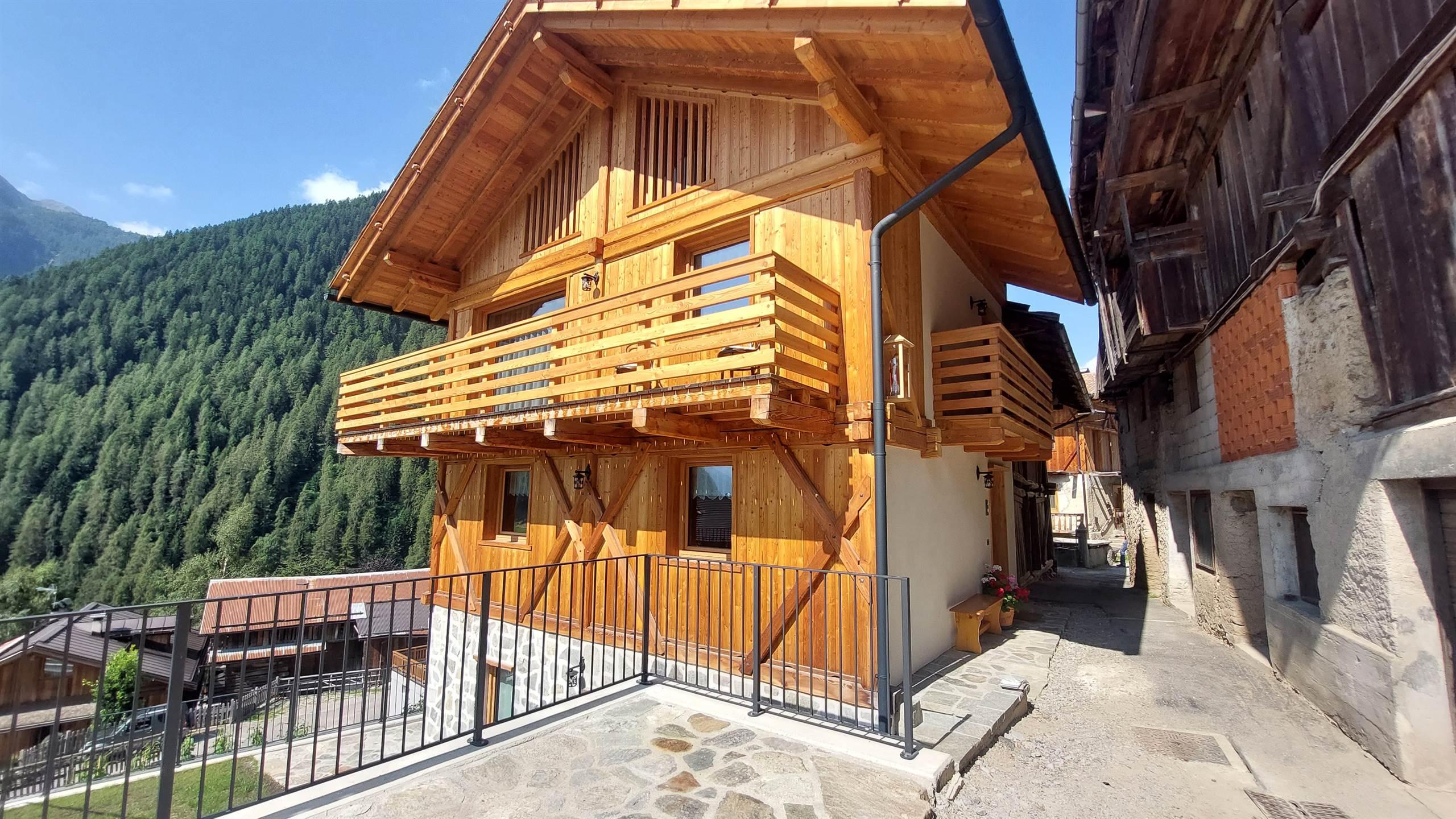 Ein Holzhaus mit einem schönen Balkon, gelegen in einem malerischen Bergdorf. Im Hintergrund sind grüne Bäume und eine Aussicht auf die Berge zu sehen.