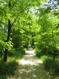 Parco Sarmazza