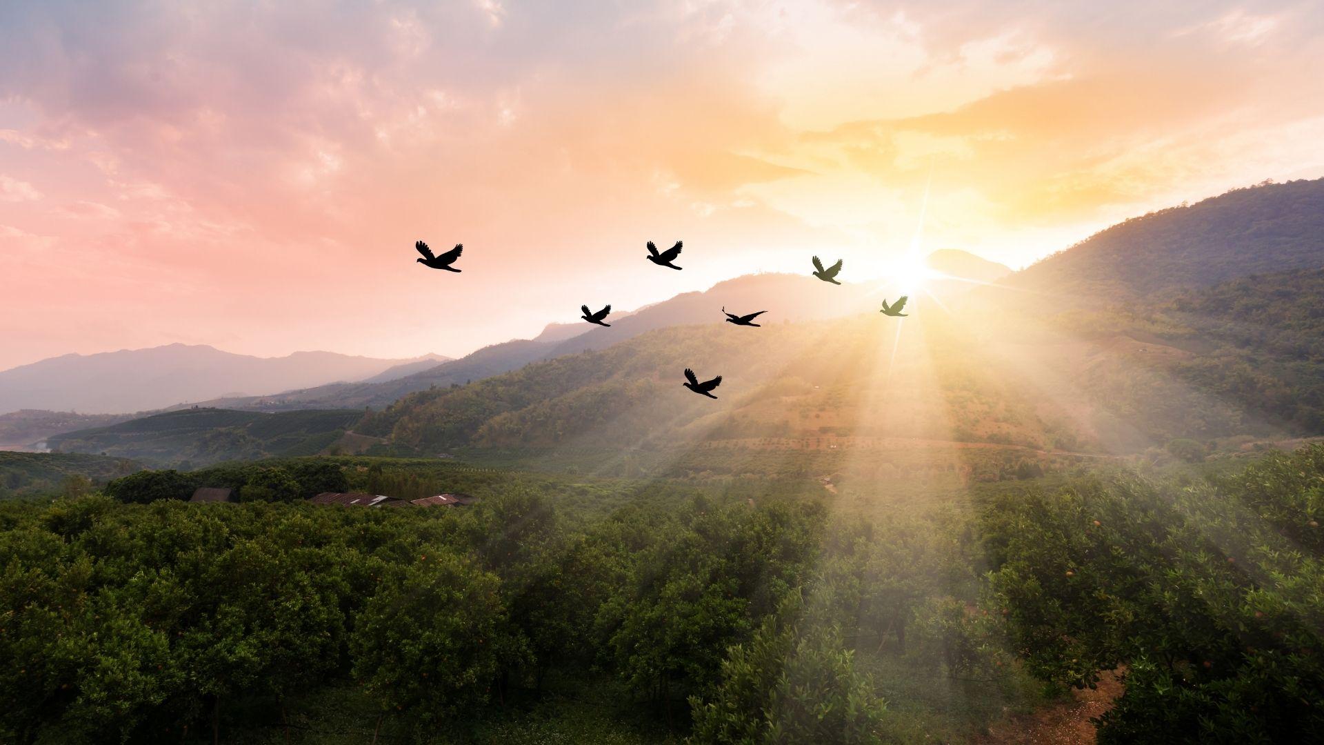 Le Ali dell’intelligenza