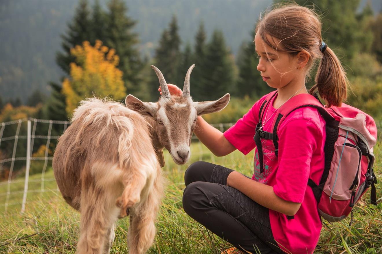 Trekking con le caprette