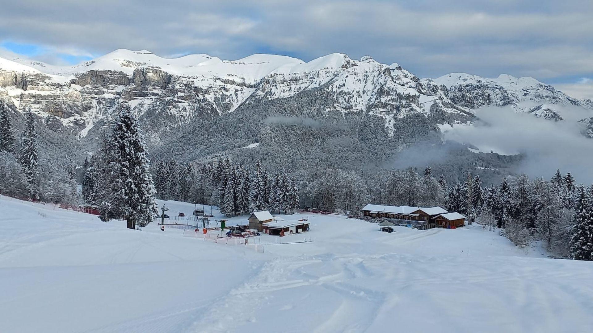 Passeggiata al mattino con guida Flò