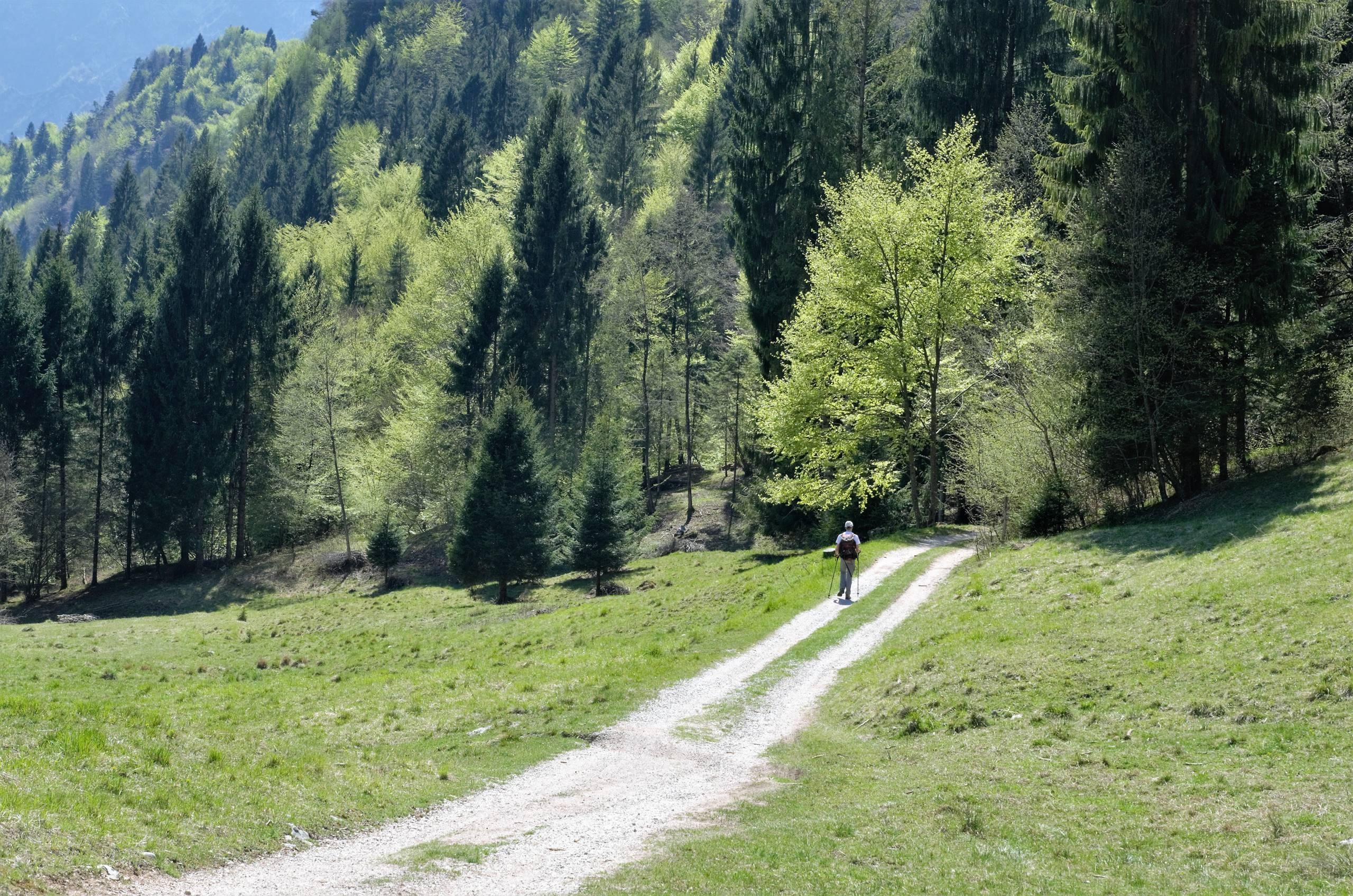 Val di Canzoi bike