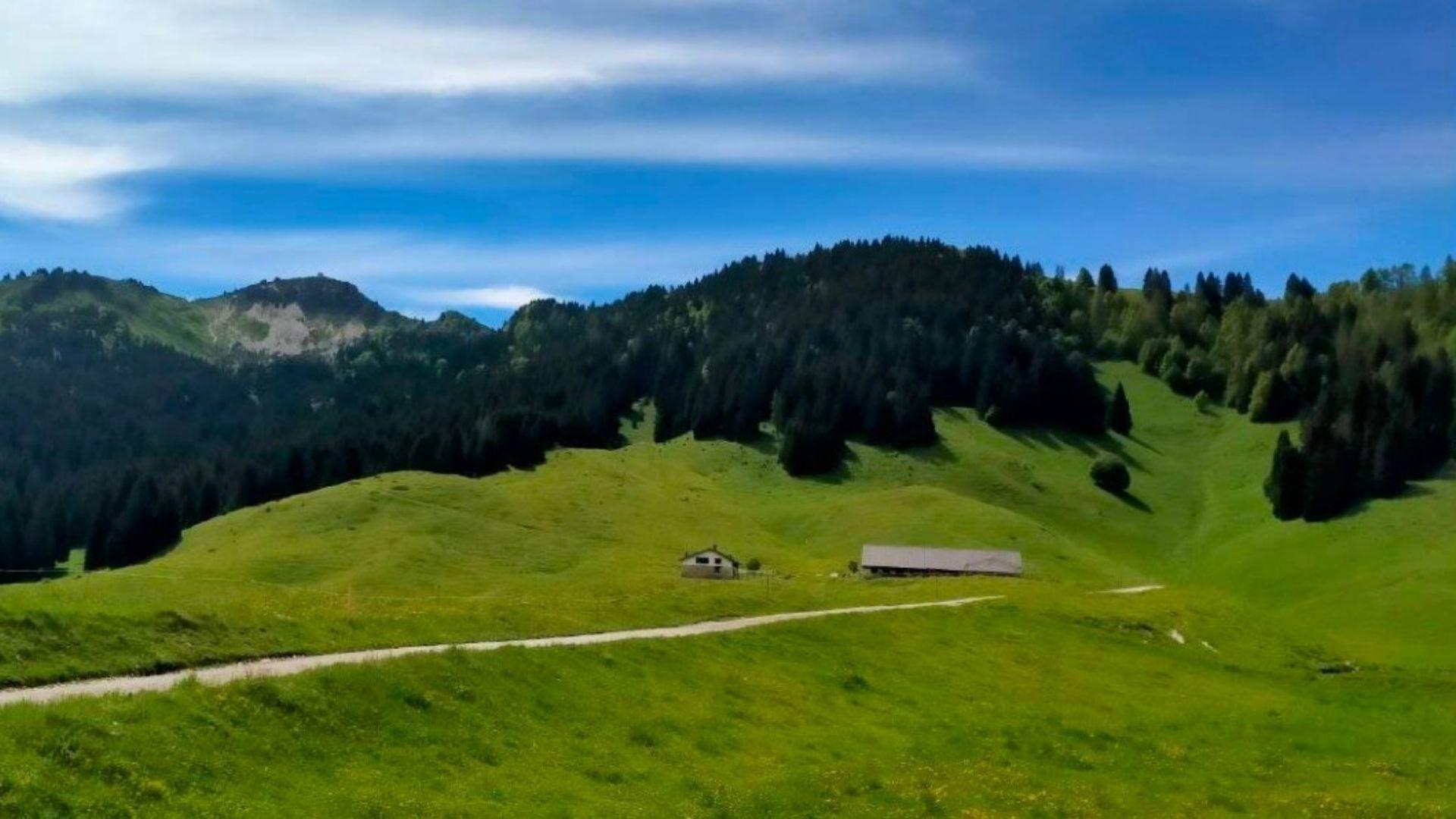 Malga Valpore di Cima