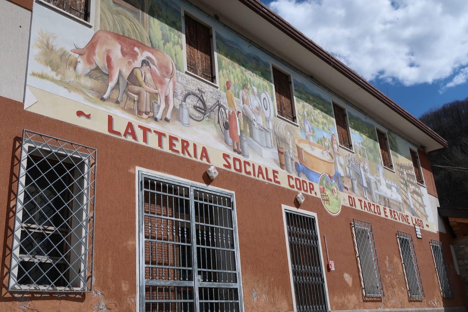 Passi verso il leone