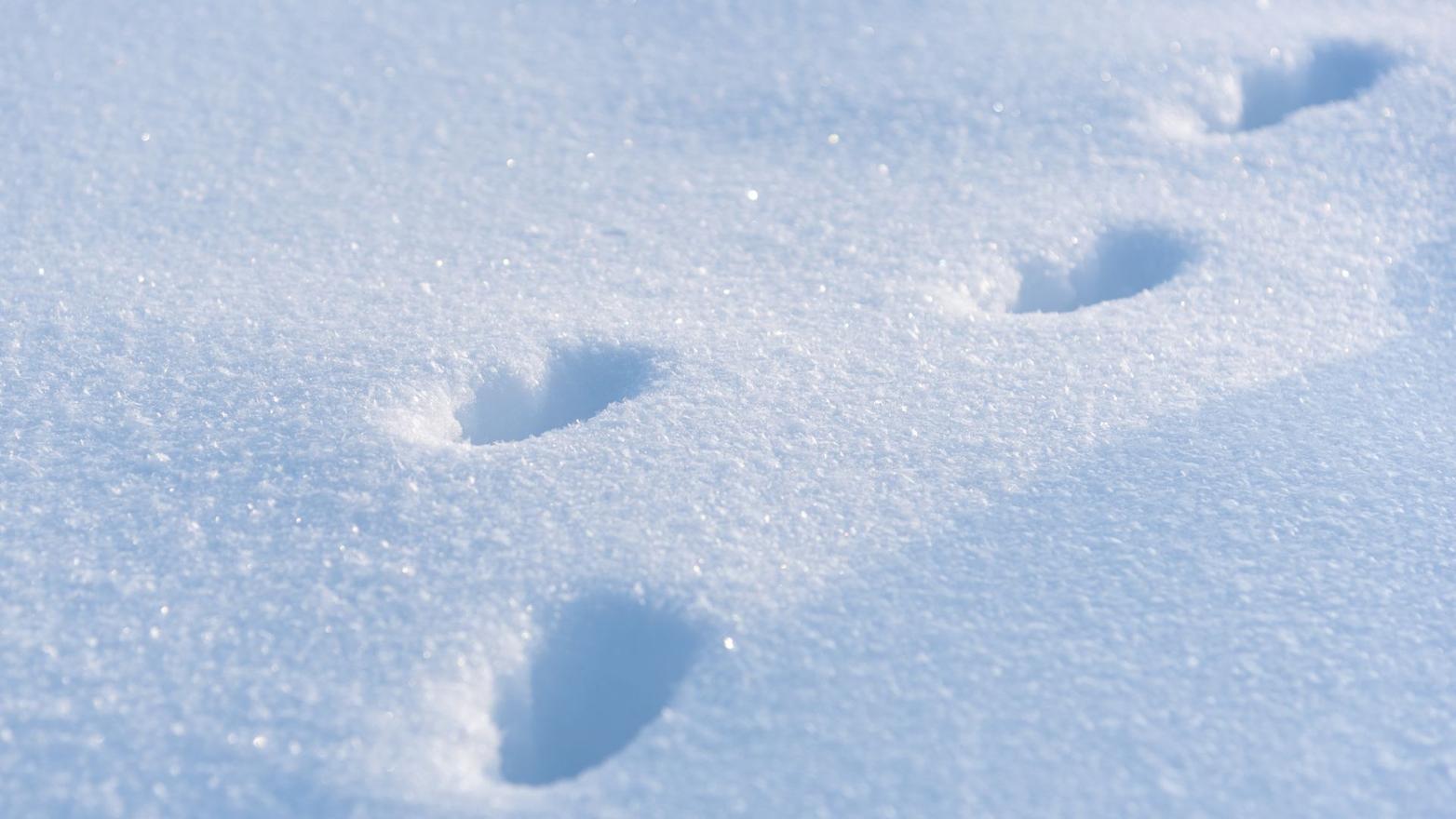 C'era una volta la neve