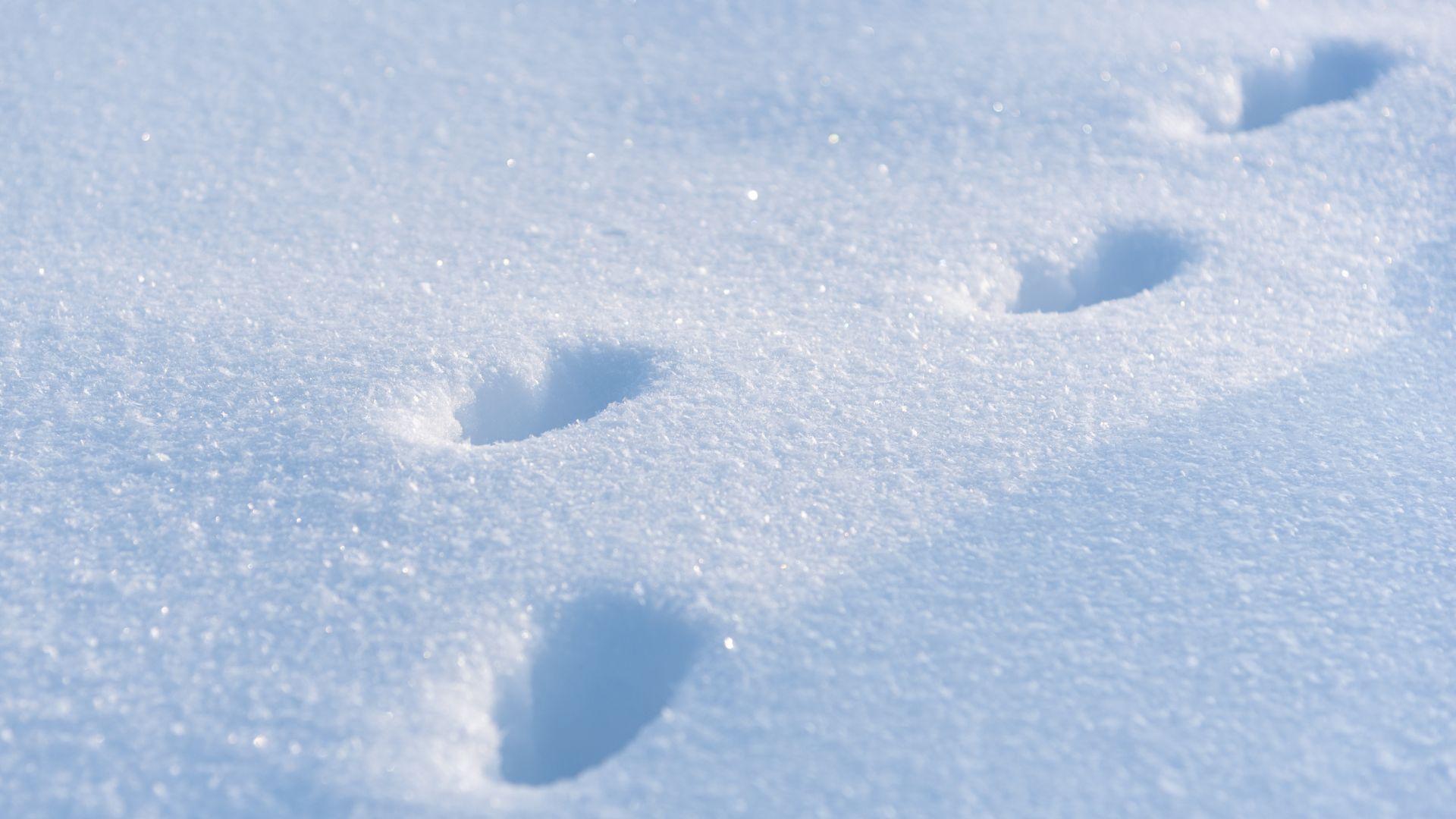 C’era una volta la neve