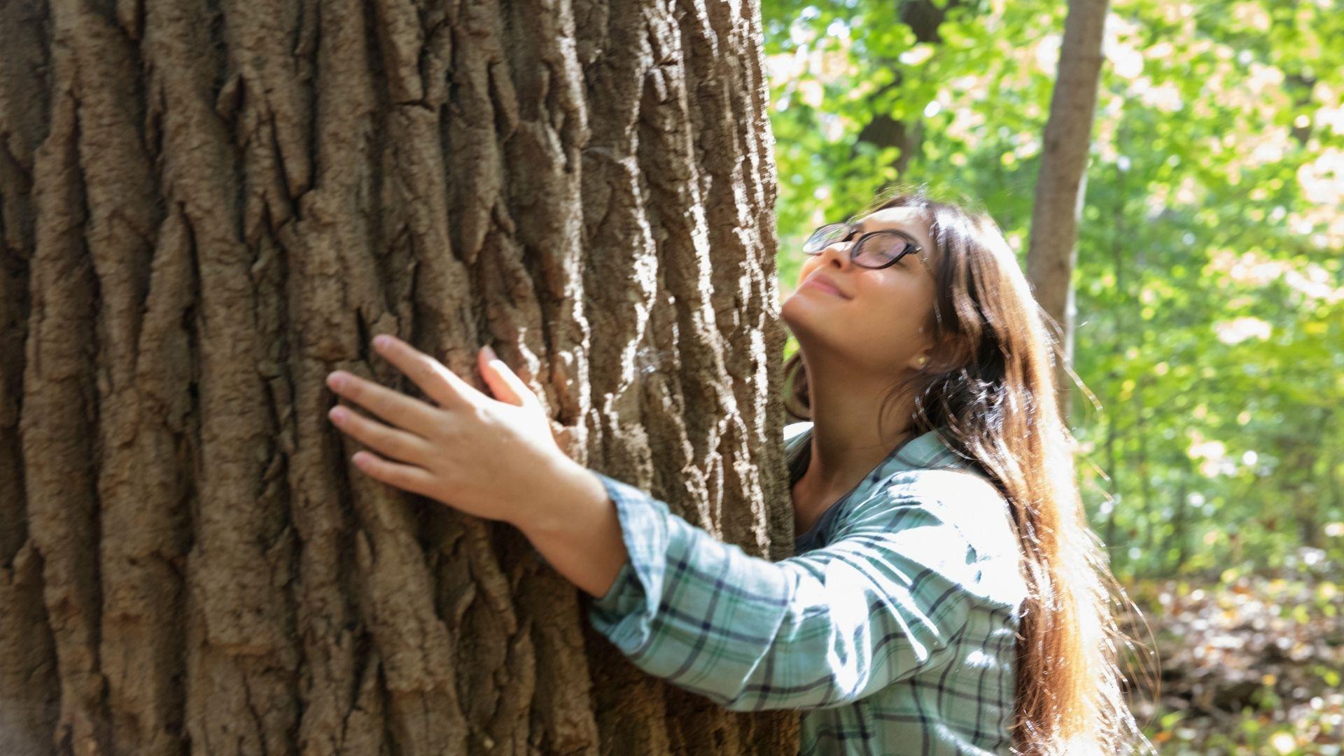 Forest bathing tra i castagni secolari