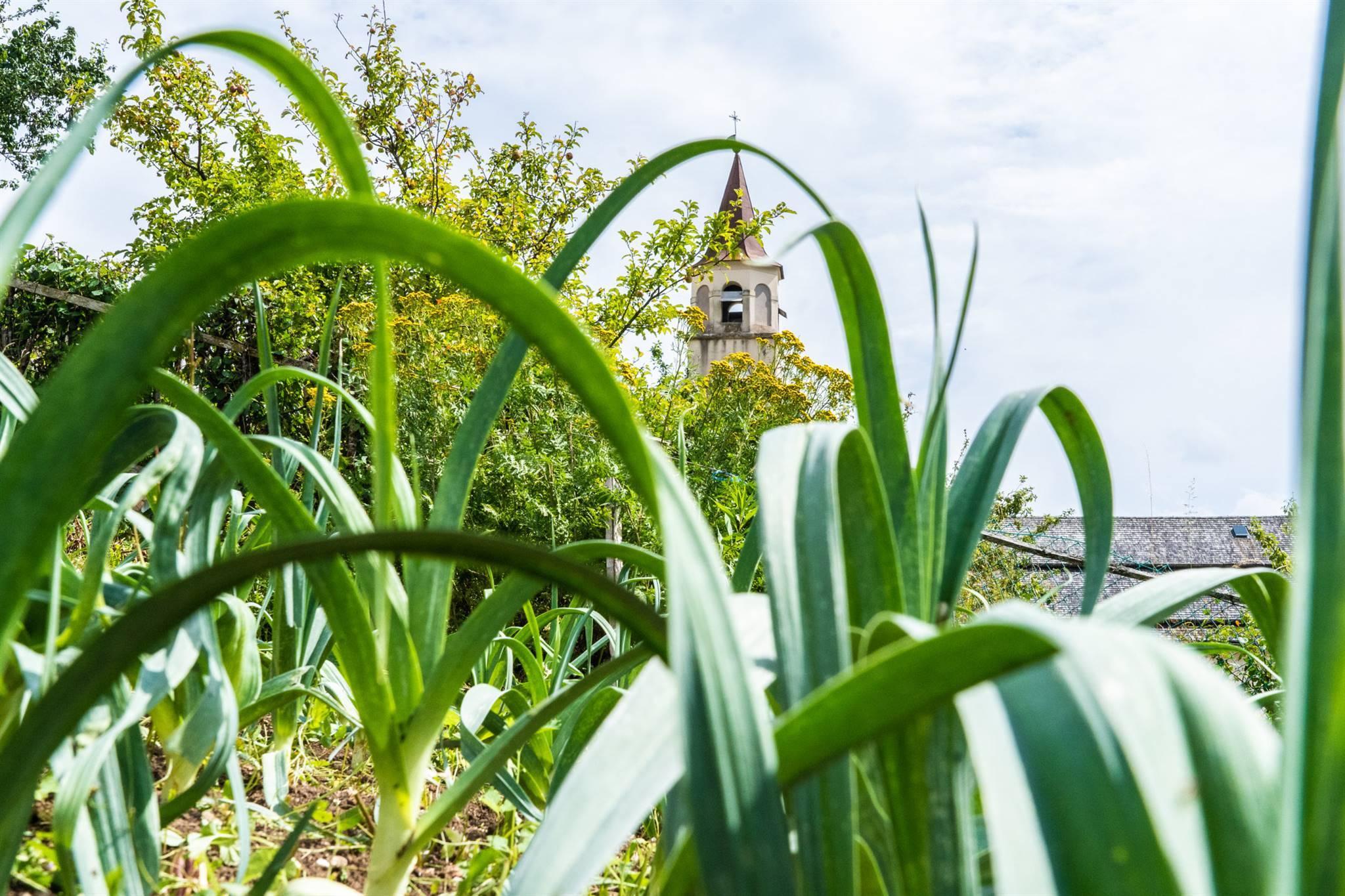 Festival dell’agricoltura di Montagna e Giornata del Porro di Nosellari