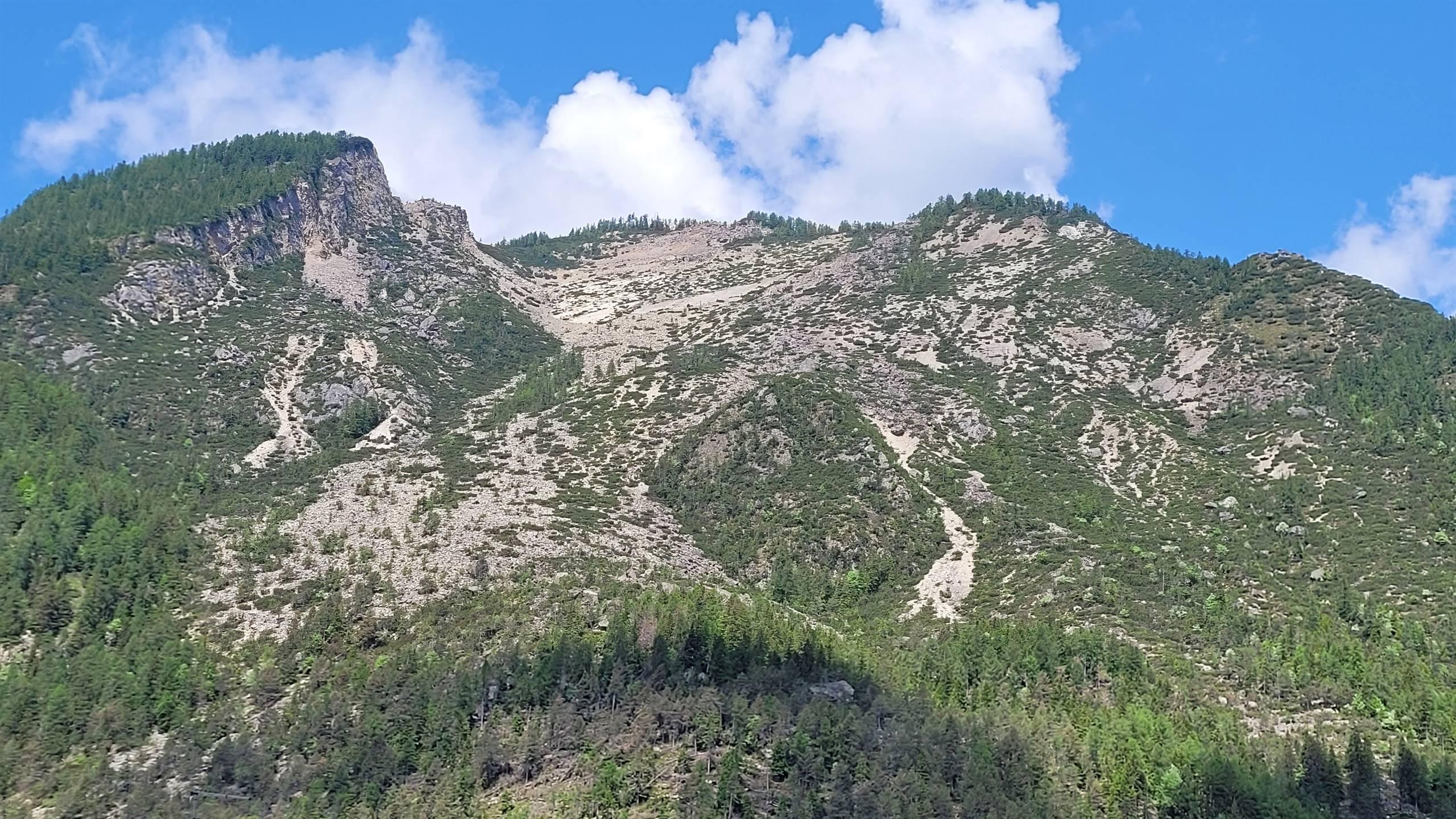 Parco 11 gennaio 1771 - 3