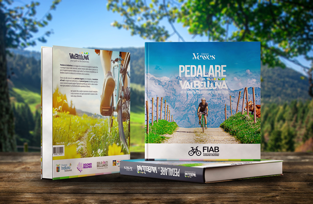 Pedalare in Valbelluna