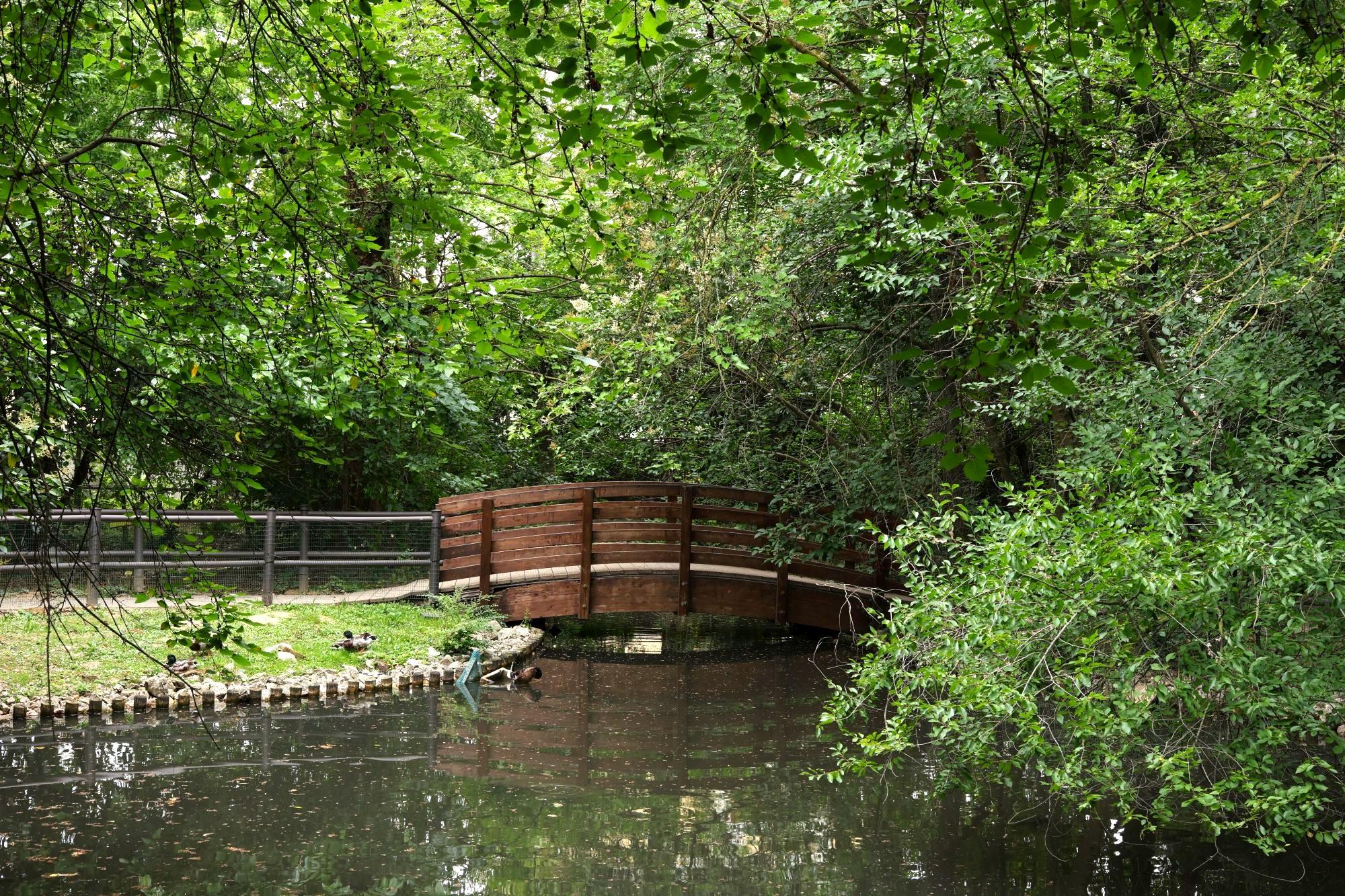 Parco Nuove Gemme