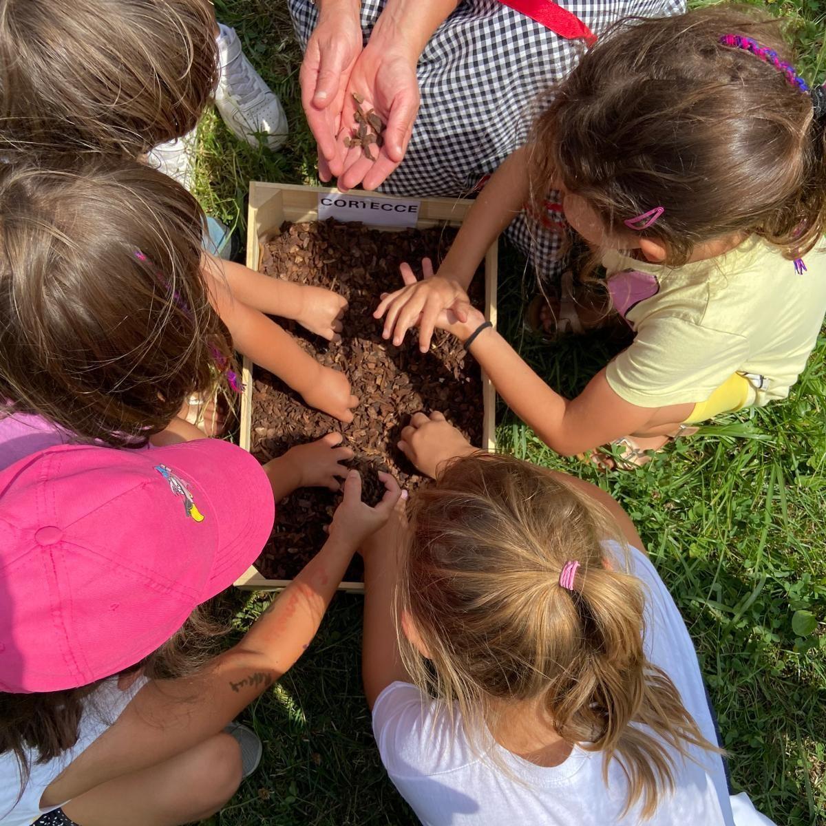 Scampagnata in fattoria!