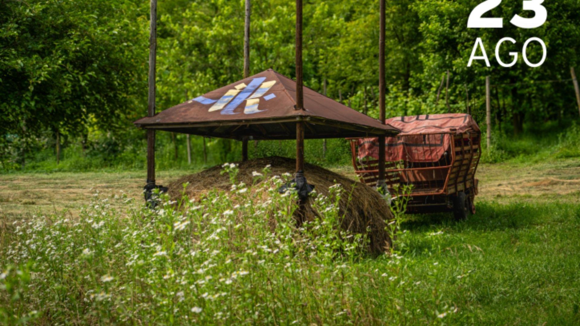 Passeggiata  Barch Art