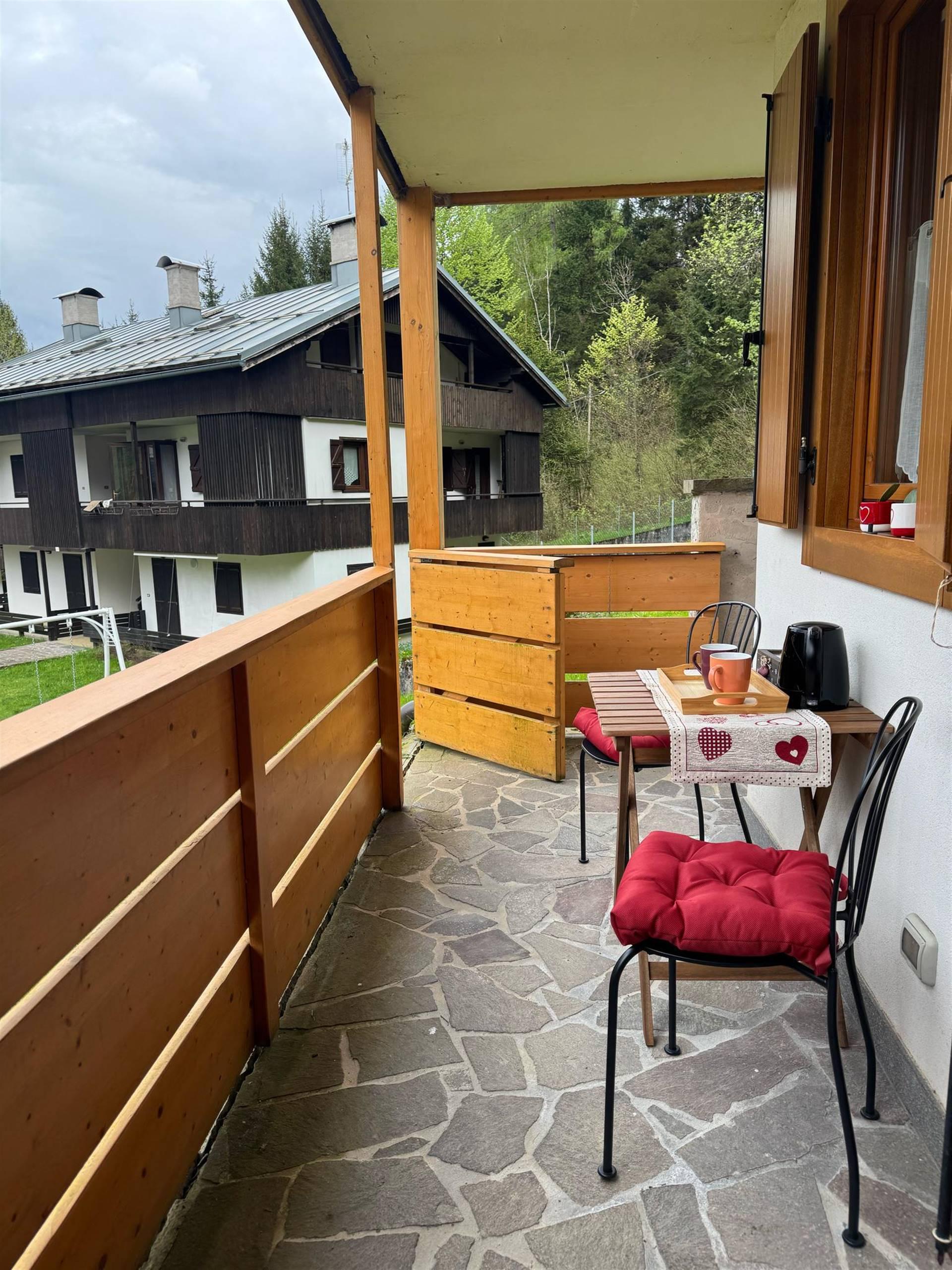 IL GIARDINO SULL'ANTELAO - 3