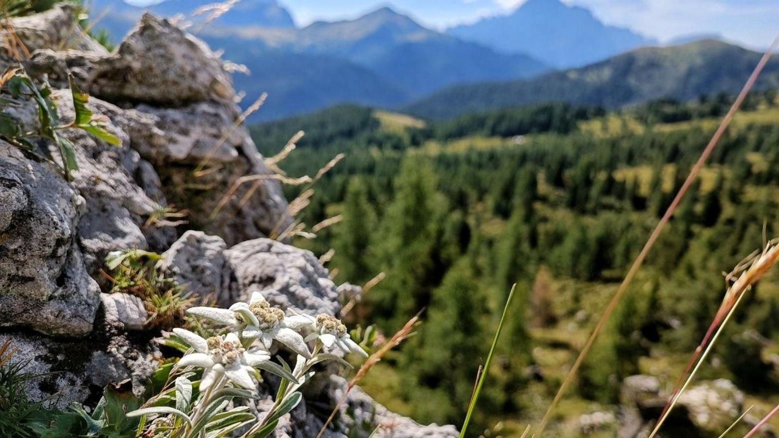 Il panoramico anello dei Setsass