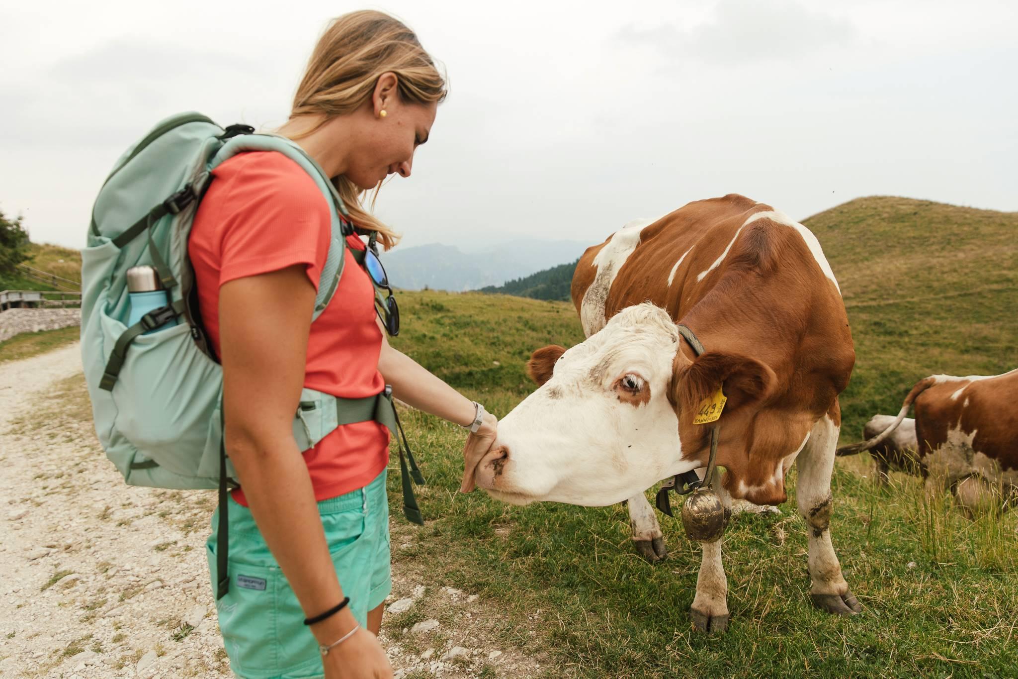 Malghe tra Miane e Borgo Valbelluna