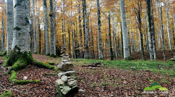 I villaggi Cimbri e la foresta d'autunno
